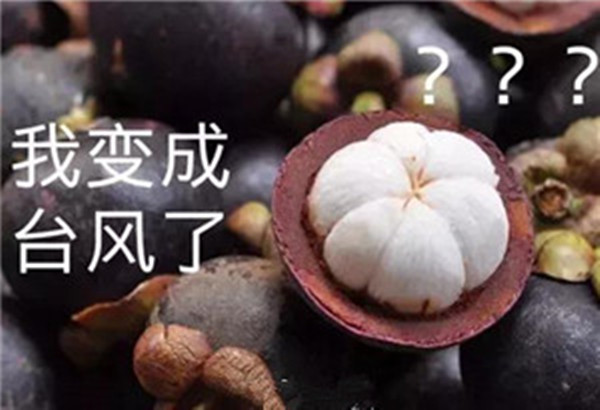 “山竹”還未走遠，但貝朗全自動彎線機已正常上班啦！