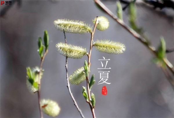 二十四節(jié)氣立夏，那些您不知道的習(xí)俗