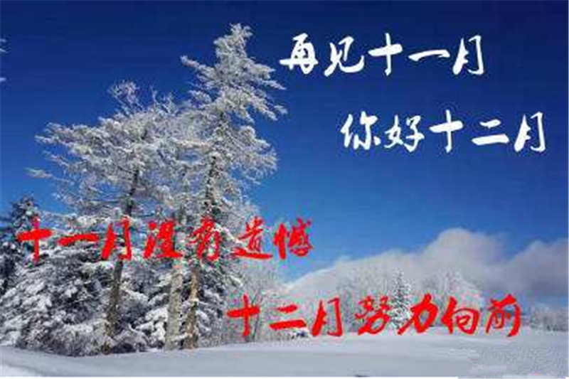 11月再見(jiàn) ，12月你好——貝朗全自動(dòng)鋼絲機(jī)